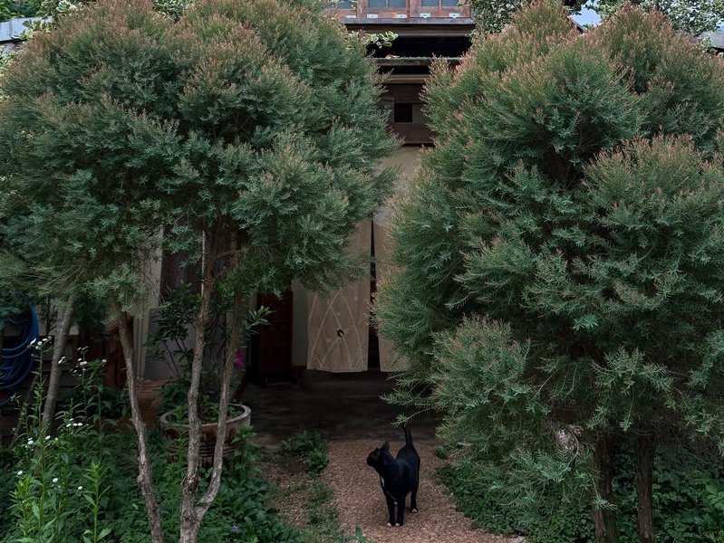 Thumbnail of p-djmhks7pwlt-c5f8c4c7f0d241f4 4