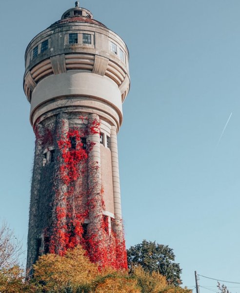 Thumbnail of p-cal86gtmv07-c61d16b6f7164d9a 0