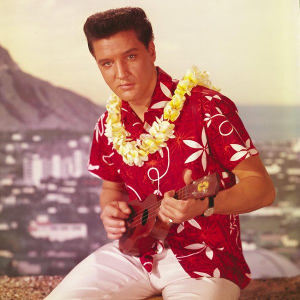 Thumbnail of p-cc806g5nmtg-c64a1fe5700b4a2f 0