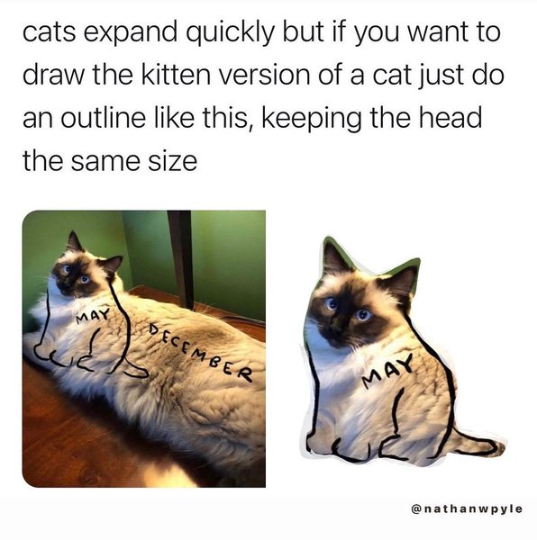 Thumbnail of csjsu4dr-6w-c66b78da29c14ce1 0