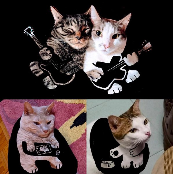 Thumbnail of csjsu4dr-6w-c66b78da29c14ce1 3