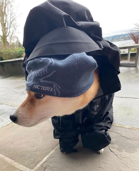 Thumbnail of p-cmsl79motau-c6af7bb6cea149a3 7