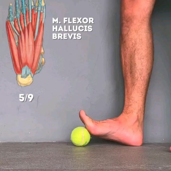 Thumbnail of p-c9pxldziq9t-c6f81f6e36344ab4 5