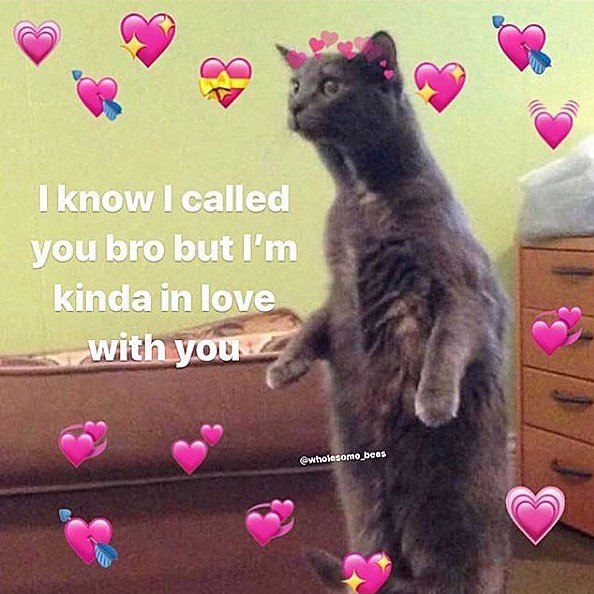 Thumbnail of p-b8m3t1si2ft-c712524205ce4c18 0