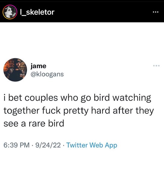 Thumbnail of p-ckblg82ozw1-c717238ba0104af7 3