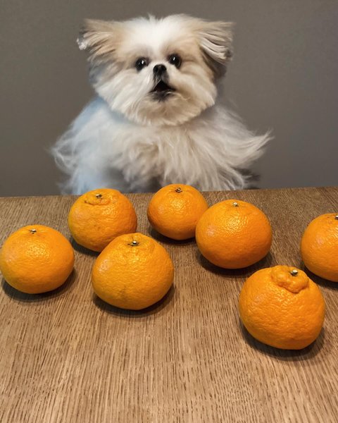 Thumbnail of p-c47xdezhp7c-c725c388d0ac4dbb 0