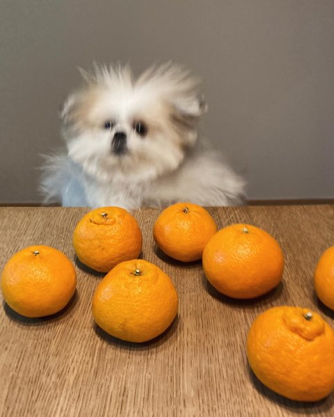 Thumbnail of p-c47xdezhp7c-c725c388d0ac4dbb 1