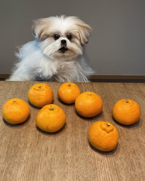 Thumbnail of p-c47xdezhp7c-c725c388d0ac4dbb 2