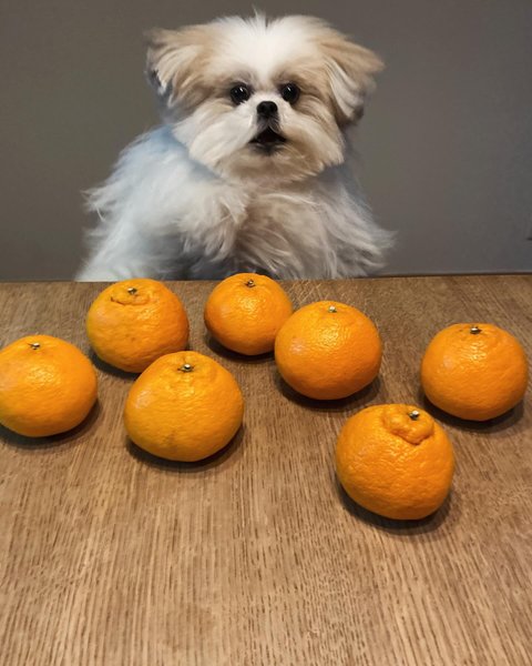 Thumbnail of p-c47xdezhp7c-c725c388d0ac4dbb 3