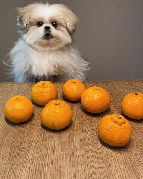 Thumbnail of p-c47xdezhp7c-c725c388d0ac4dbb 4