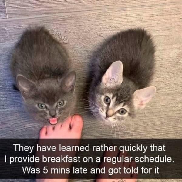 Thumbnail of p-b9ubh1ihfvi-c73068cf627243a7 0