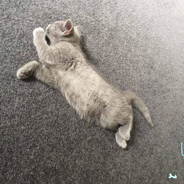 Thumbnail of b1ma0-jlqge-c73572846ca24469 1