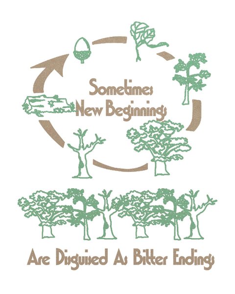 Thumbnail of p-clmyrtrrks0-c75f95d189ec42b3 0