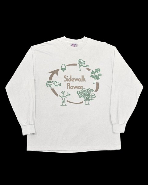 Thumbnail of p-clmyrtrrks0-c75f95d189ec42b3 1