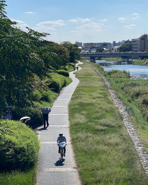 Thumbnail of p-cyjlp9mossg-c782a208dc5a43b2 4