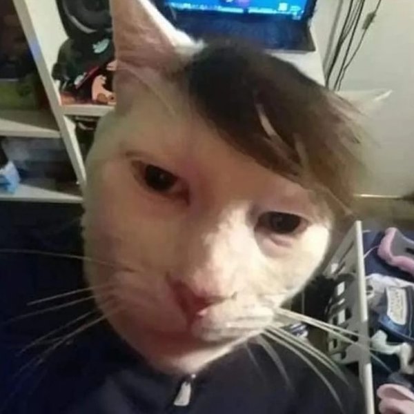 Thumbnail of p-darvpflinbt-c7a143bf5f4e4519 0