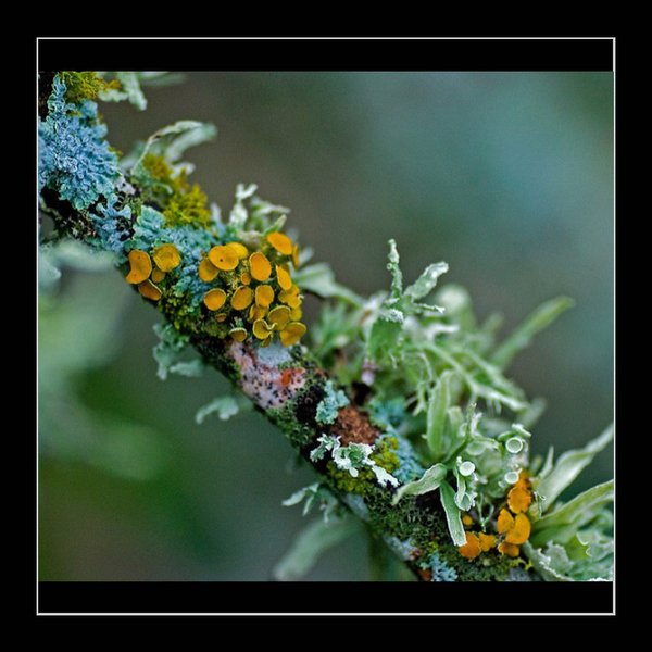 Thumbnail of p-ciym0pql3ca-c7d68a3085264334 4