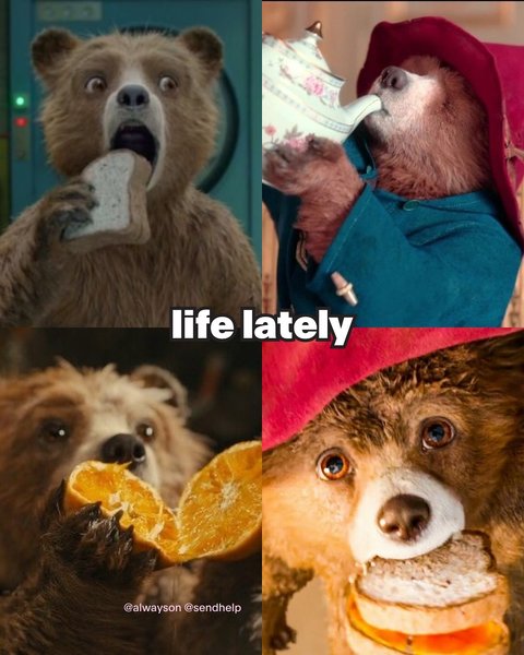 Thumbnail of p-dgduy6ar3or-c80f8a48e8984083 3