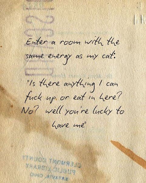 Thumbnail of djeqflln-uz-c813ce39697a43a7 10