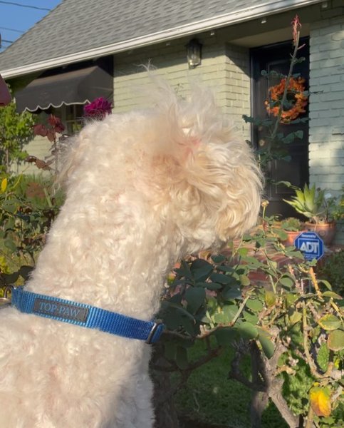 Thumbnail of p-cv1awyuhrbw-c83459b3201f451a 8