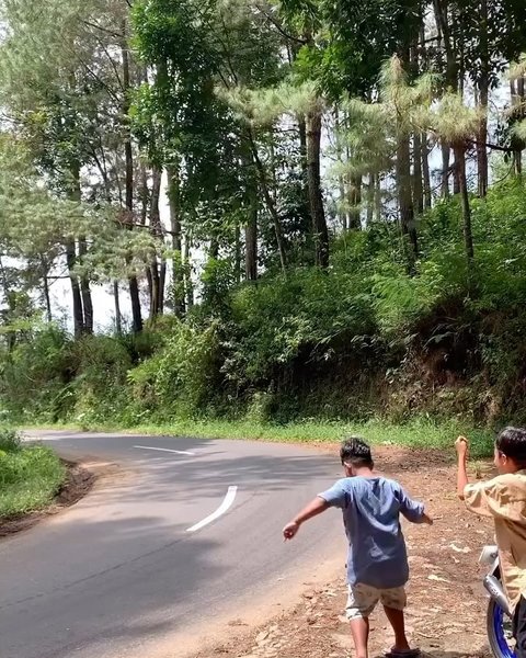 Thumbnail of c-ilbxbzuvo-c8445f9055ab4853 8