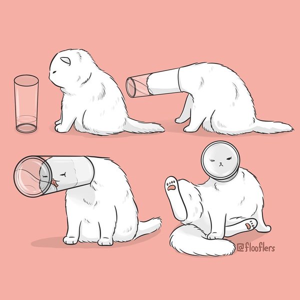 Thumbnail of p-b418cbqbjmp-c85f30c272ae4d31 0