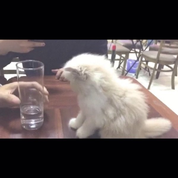 Thumbnail of p-b418cbqbjmp-c85f30c272ae4d31 1