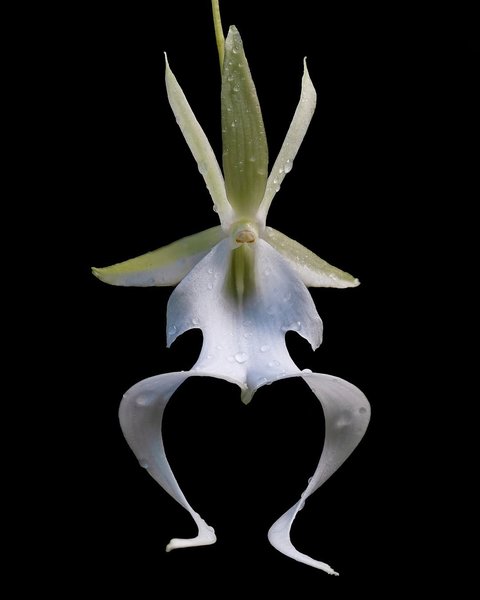 Thumbnail of instagram-c8604630038b49ea 0