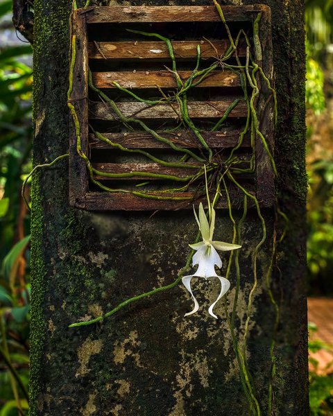 Thumbnail of instagram-c8604630038b49ea 1