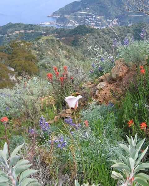 Thumbnail of www-instagram-com-p-dqrrniscfum-img-index-2 0