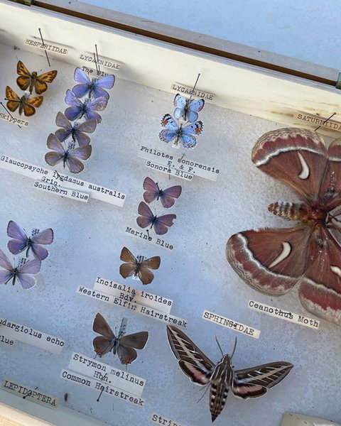 Thumbnail of www-instagram-com-p-dqrrniscfum-img-index-2 1