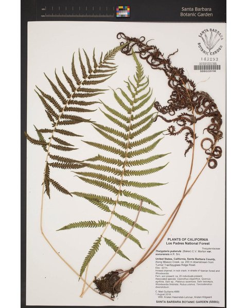 Thumbnail of www-instagram-com-p-dqrrniscfum-img-index-2 3