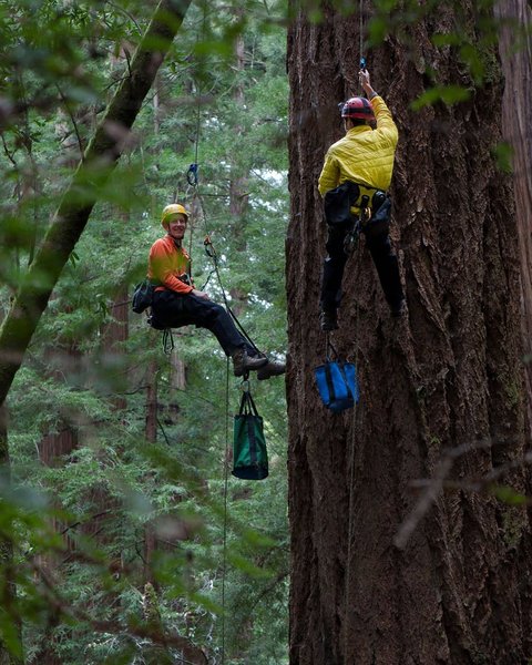 Thumbnail of www-instagram-com-p-dqrrniscfum-img-index-2 5