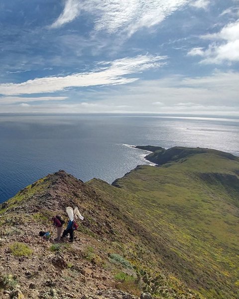 Thumbnail of www-instagram-com-p-dqrrniscfum-img-index-2 6