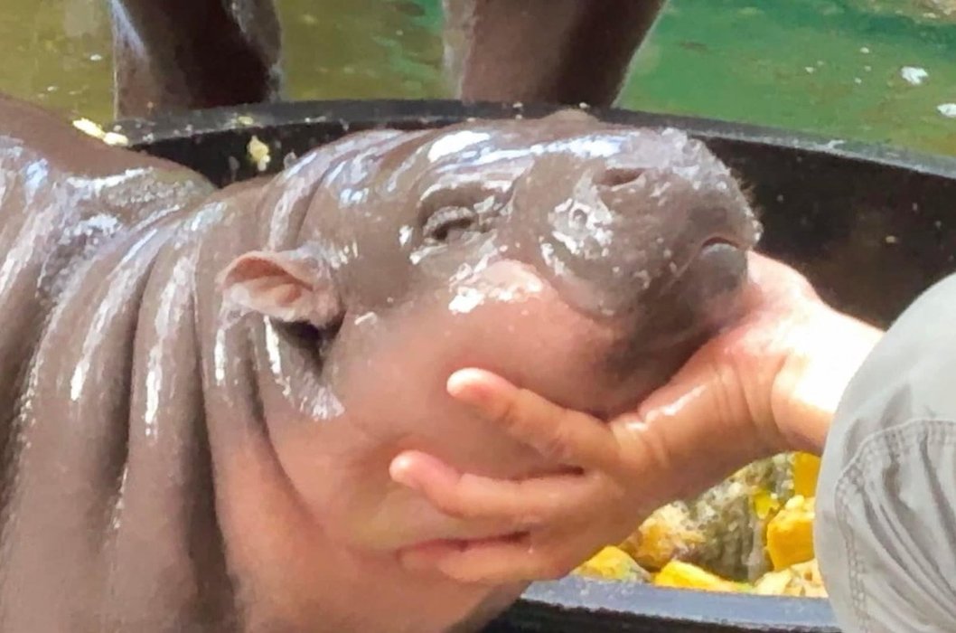 Thumbnail of www-x-com-sighyam-status-1836076407627141624-c89a348cf4c3443f