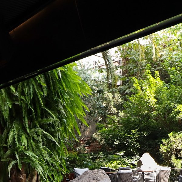 Thumbnail of p-cudotzvlfss-c8ca297b88574ba8 0