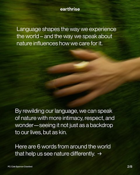 Thumbnail of www-instagram-com-p-dg2j8pnnoyr-img-index-4 1