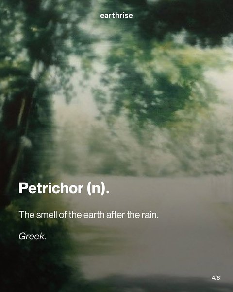 Thumbnail of www-instagram-com-p-dg2j8pnnoyr-img-index-4 3