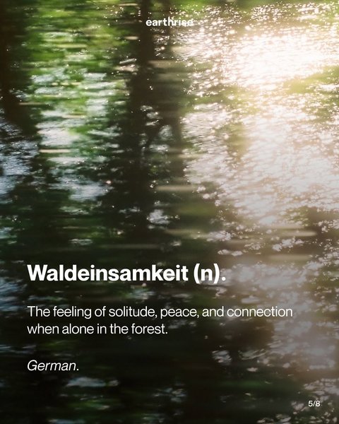 Thumbnail of www-instagram-com-p-dg2j8pnnoyr-img-index-4 4