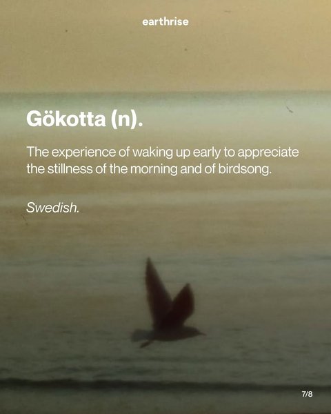 Thumbnail of www-instagram-com-p-dg2j8pnnoyr-img-index-4 6