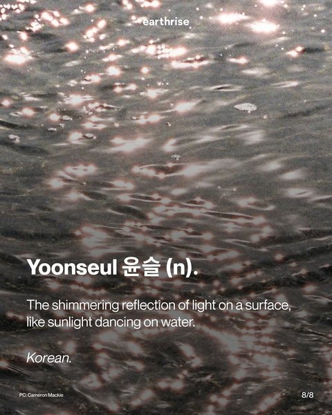 Thumbnail of www-instagram-com-p-dg2j8pnnoyr-img-index-4 7