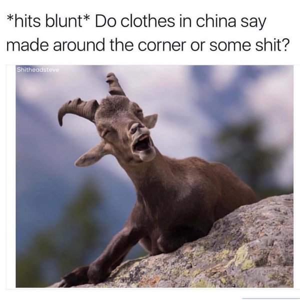 Thumbnail of p-b2euavyhqke-c925aca5f9fa4b45 0