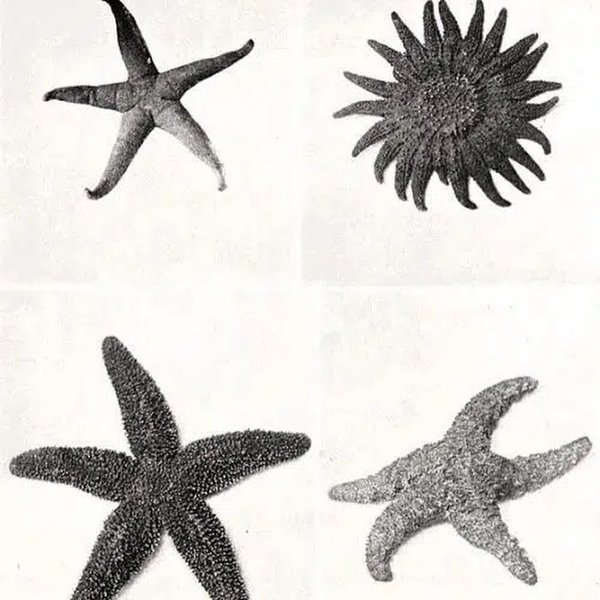 Thumbnail of p-c3ntlbrtgyo-c939e62fd7e94131 2