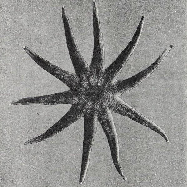 Thumbnail of p-c3ntlbrtgyo-c939e62fd7e94131 4