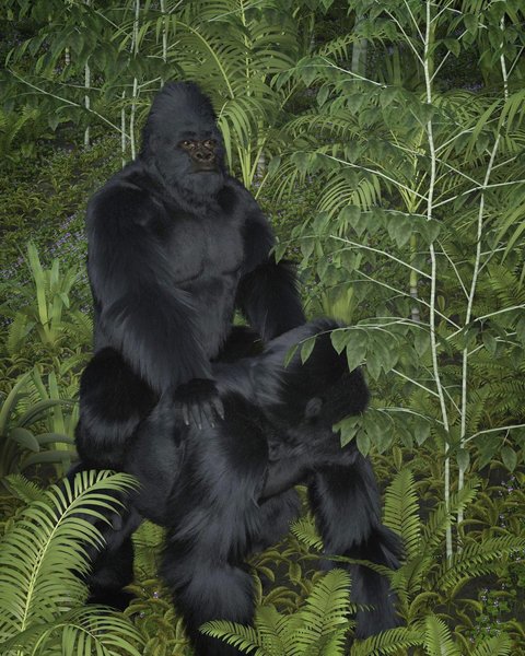 Thumbnail of cjv9-g0vxnw-c98ad5688dd44c81 2