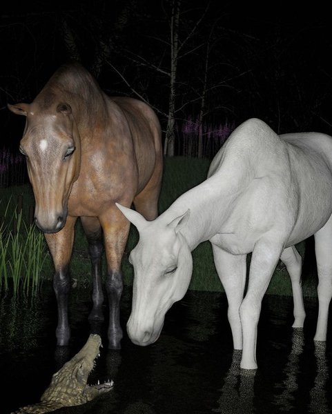 Thumbnail of cjv9-g0vxnw-c98ad5688dd44c81 3