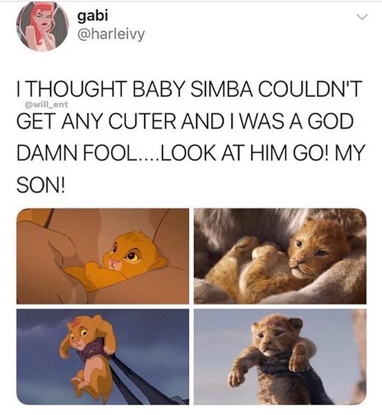 Thumbnail of p-bqidw0fnlzo-c9a2d3ff753e4795 0