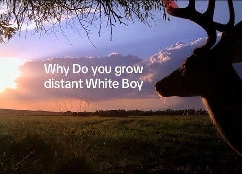 Thumbnail of p-dpzay0jkjbg-c9d9a365b7f143bc 0