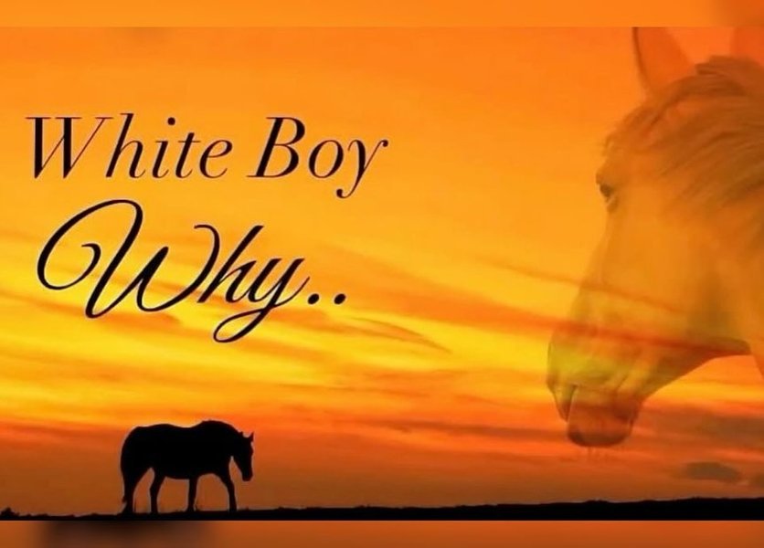 Thumbnail of p-dpzay0jkjbg-c9d9a365b7f143bc 1