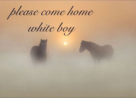 Thumbnail of p-dpzay0jkjbg-c9d9a365b7f143bc 2